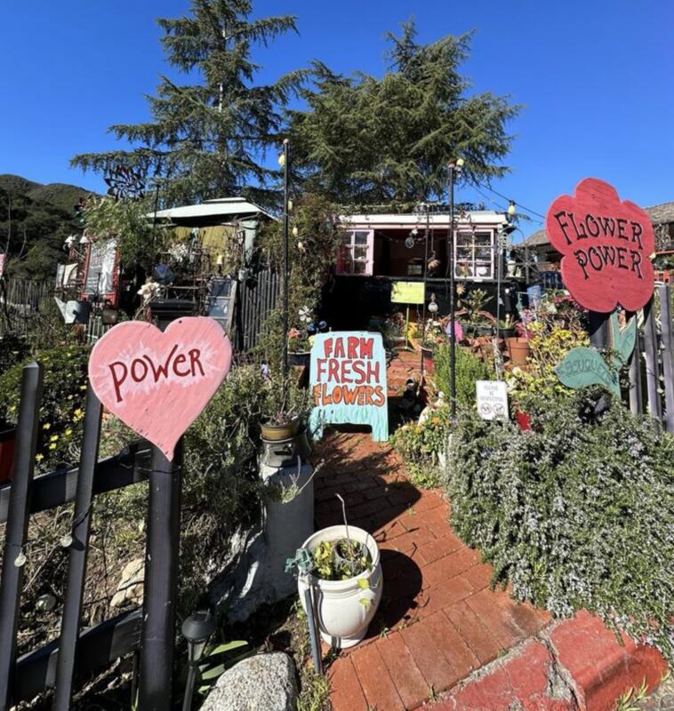 Flower Power Topanga